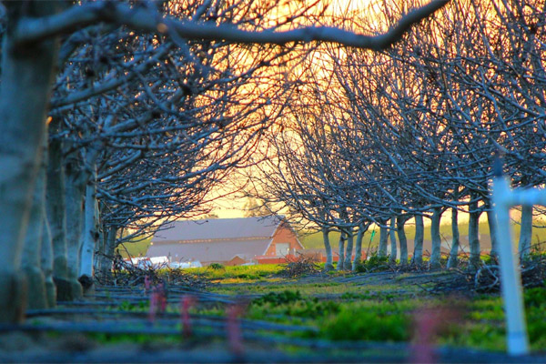 DDOS在线压力测试