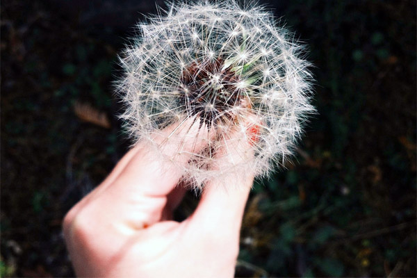 ddos攻击在哪能买到