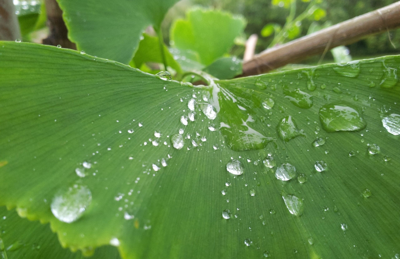 永久免费使用的网页攻击平台